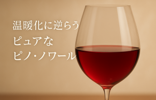 25.10ピュアピノノワール
